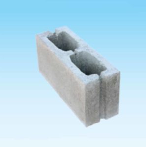 Hollow Block